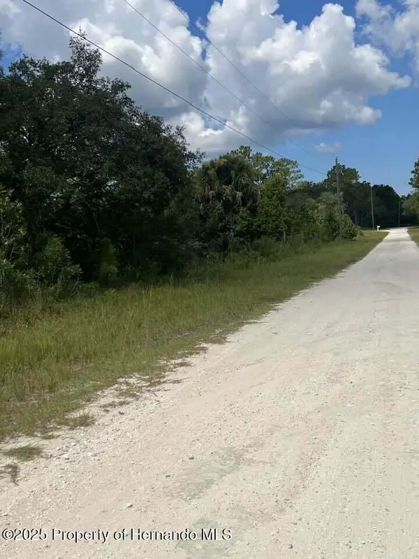 00 Yellow Frog Avenue, Brooksville, FL 34614