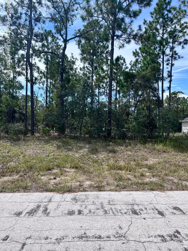 2910 W Rutland Drive, Citrus Springs, FL 00000