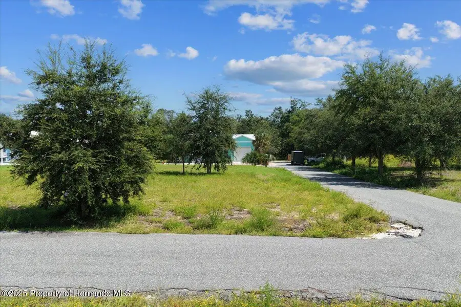 0 SW 869th Loop, Steinhatchee, FL 32359 - #2