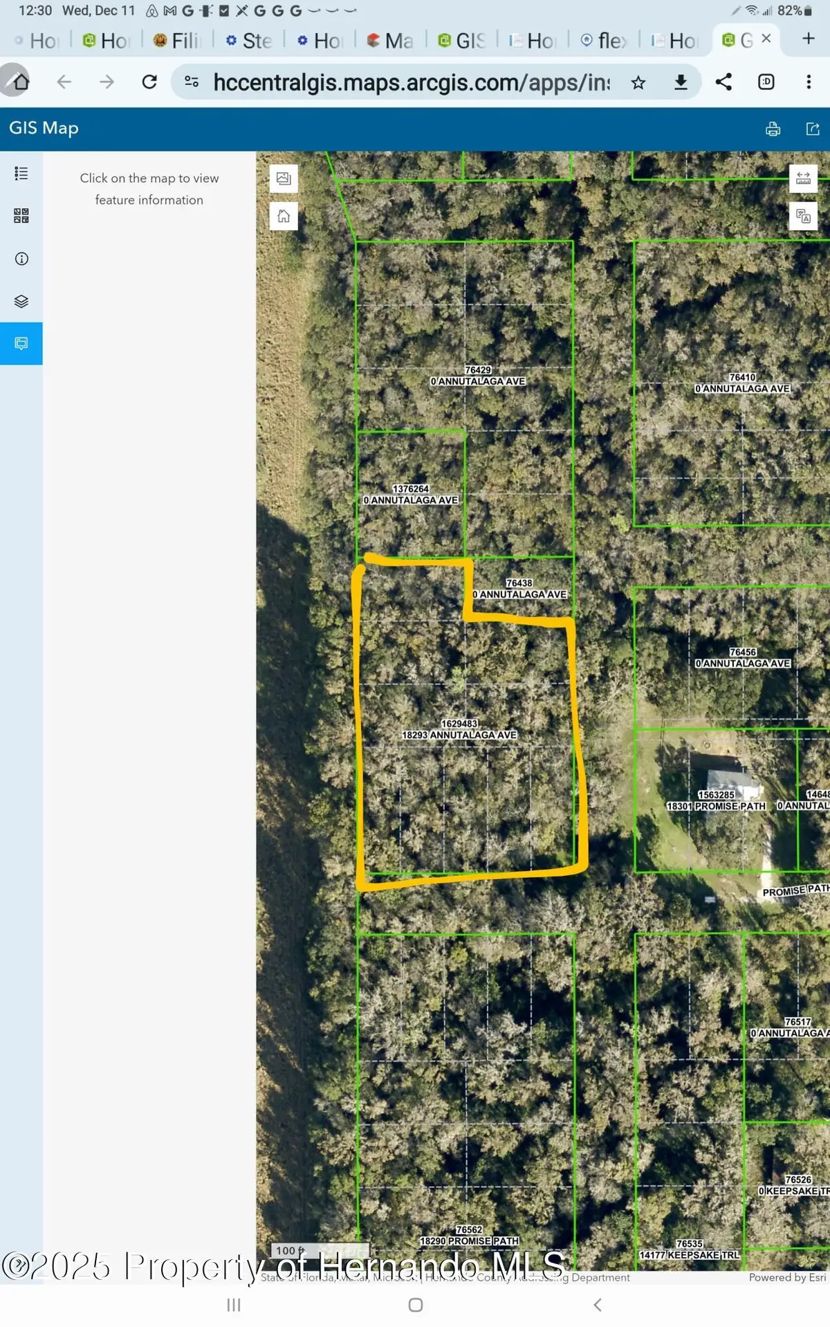 18293 Annutalaga Avenue, Brooksville, FL 34601 - Image #1