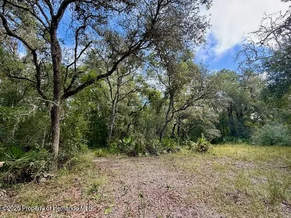 0 Gresham Road, Webster, FL 33597