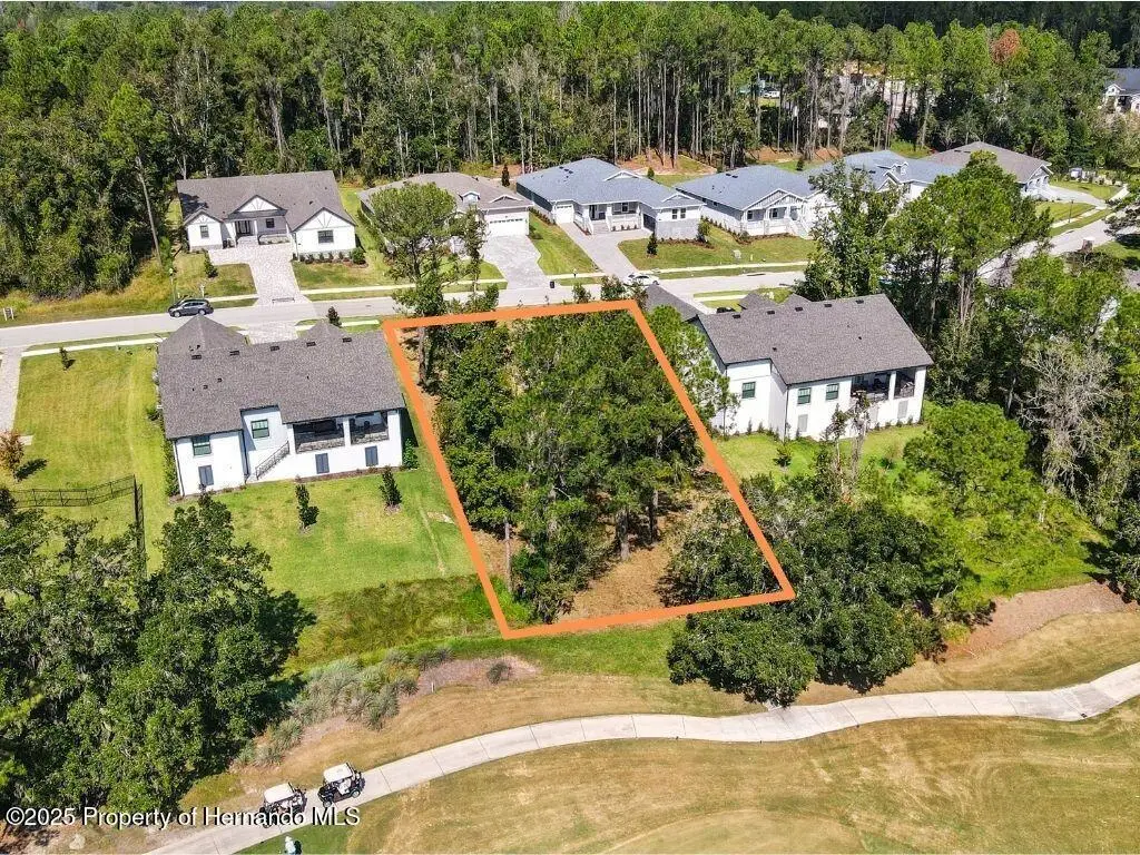 3985 Southern Valley Loop, Brooksville, FL 34601 - #1