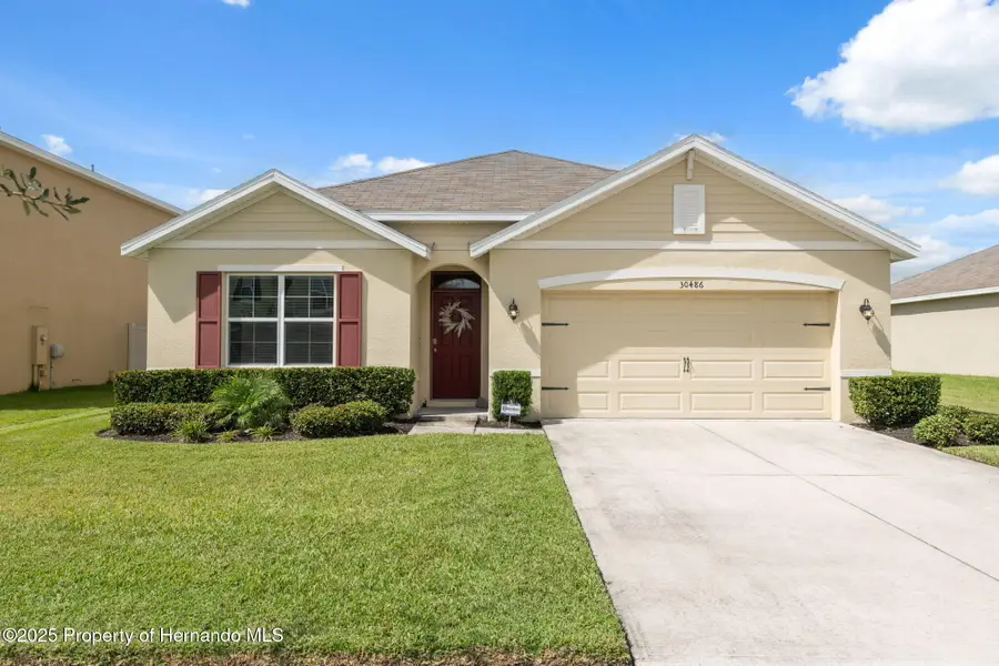 30486 Summer Sun Loop, Wesley Chapel, FL 33545 - Image #2