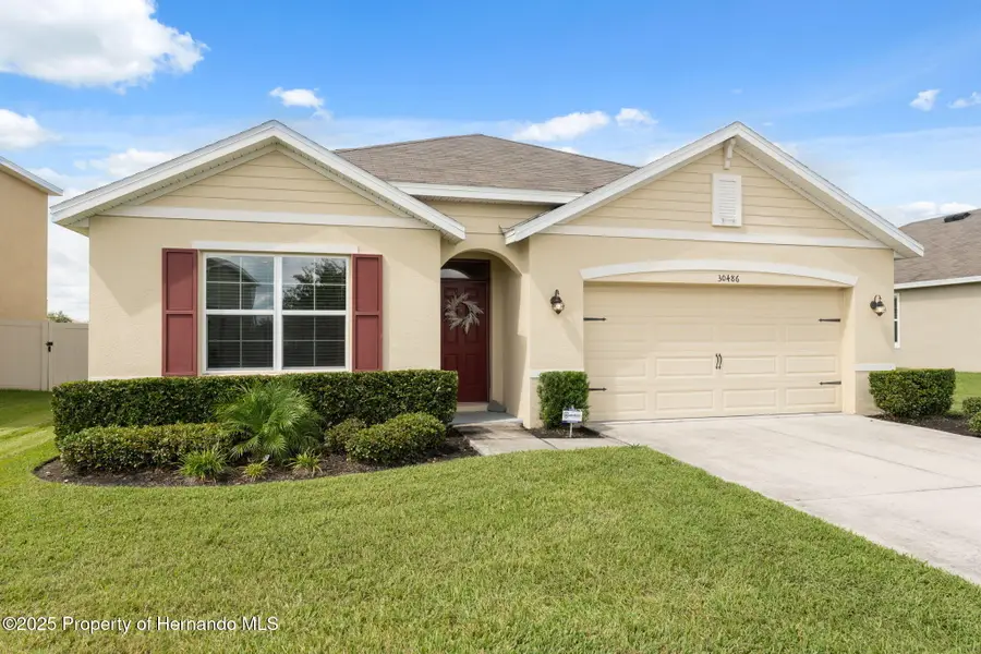 30486 Summer Sun Loop, Wesley Chapel, FL 33545 - Image #3