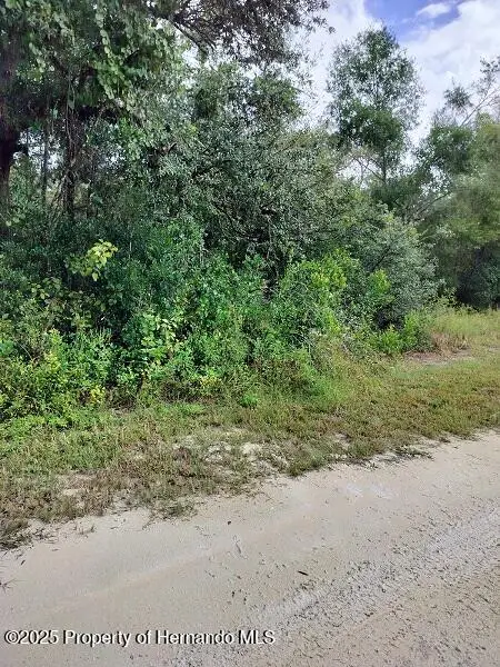 0 Harmony Drive, Ridge Manor, FL 33523 - Image #2