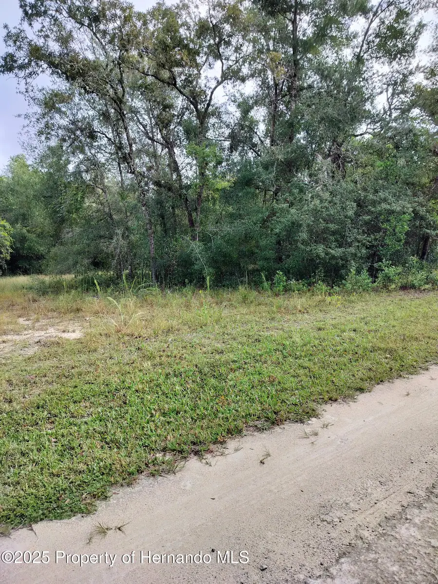 0 Harmony Drive, Ridge Manor, FL 33523 - Image #3