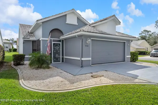 9288 New Orleans Drive, Weeki Wachee, FL 34613