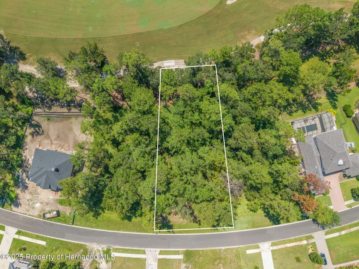 19594 Sterling Bluff Way, Brooksville, FL 34601 - Image #1