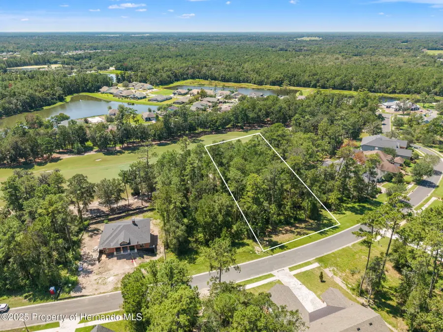 19594 Sterling Bluff Way, Brooksville, FL 34601 - Image #2