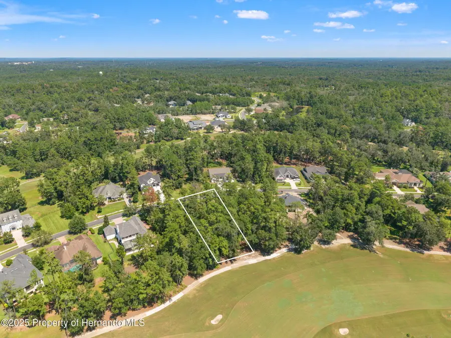 19594 Sterling Bluff Way, Brooksville, FL 34601 - Image #3