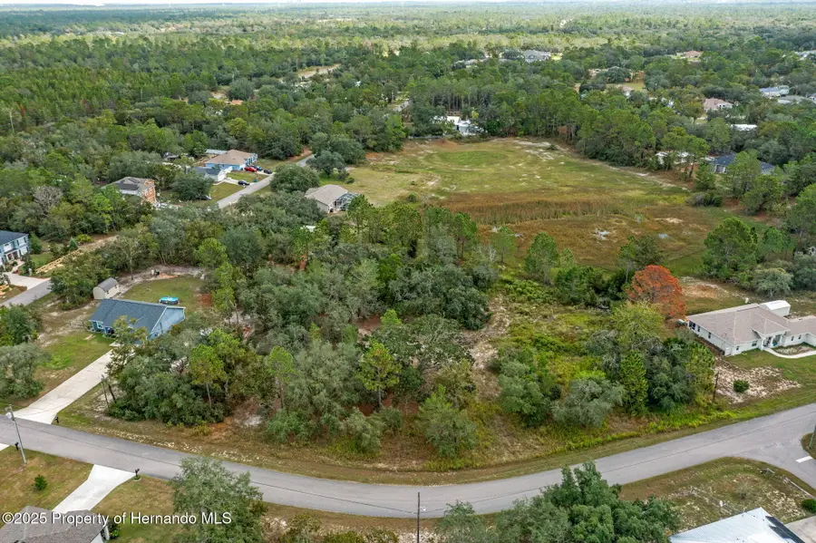 00 Marbled Godwit Road, Weeki Wachee, FL 34614 - Image #2