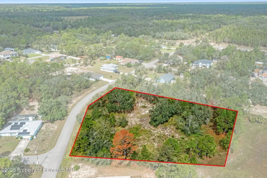 00 Marbled Godwit Road, Weeki Wachee, FL 34614 - Image #3