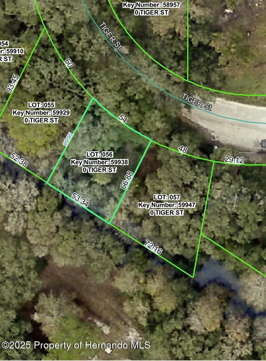 0 Tiger Street, Dade City, FL 33523 - Image #1