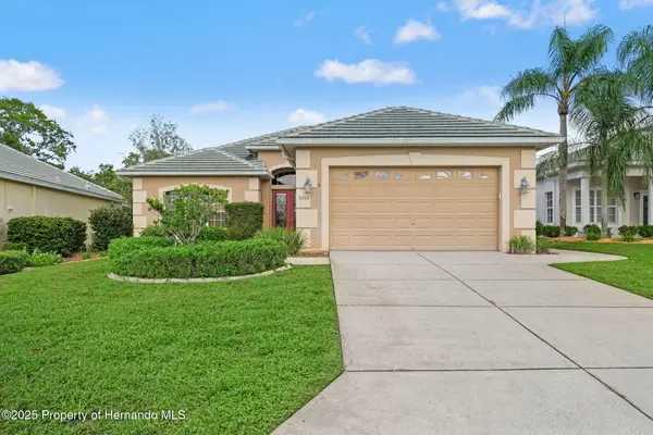 9059 Penelope Drive, Weeki Wachee, FL 34613