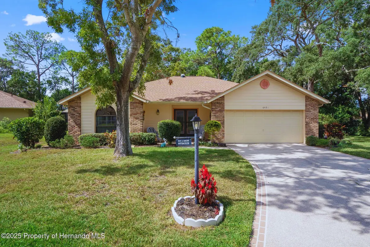6421 Pine Meadows Drive, Spring Hill, FL 34606 - Image #1
