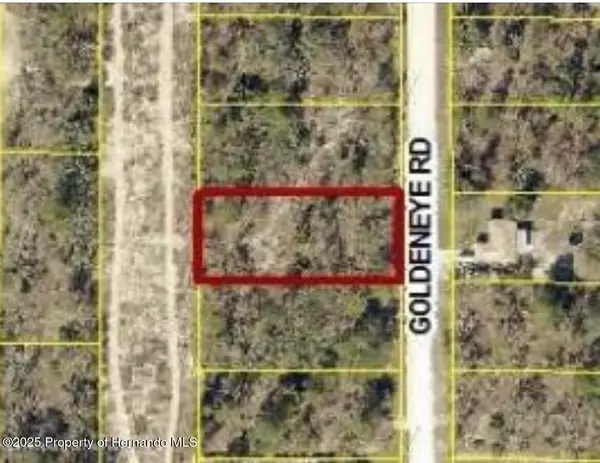 0 Goldeneye Road, Weeki Wachee, FL 34614