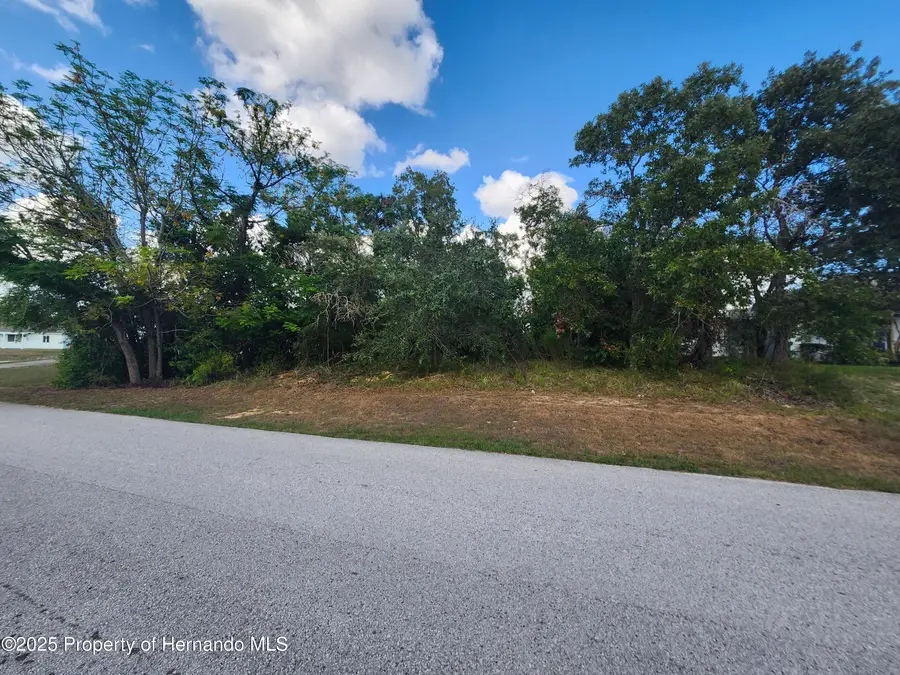4498 Winterville Road, Spring Hill, FL 34608 - Image #2