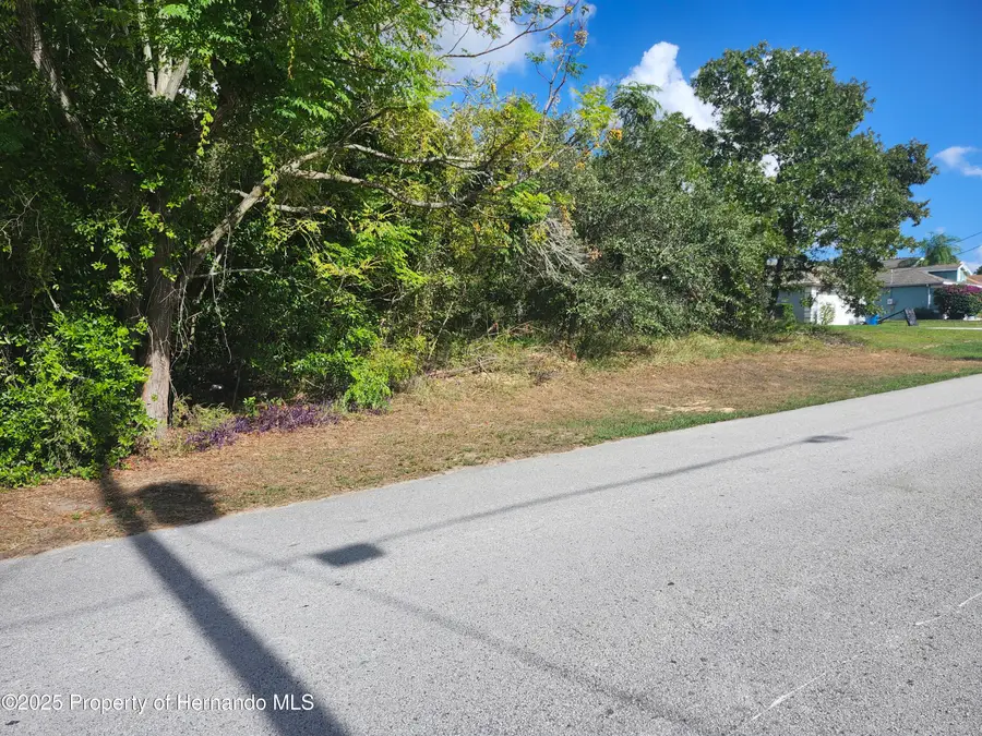 4498 Winterville Road, Spring Hill, FL 34608 - Image #3