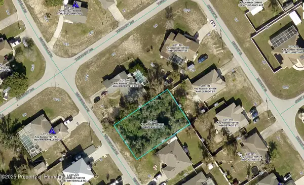 4404 Odin Street, Spring Hill, FL 34608