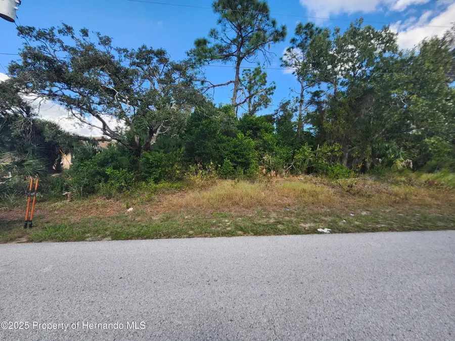 4404 Odin Street, Spring Hill, FL 34608 - Image #2