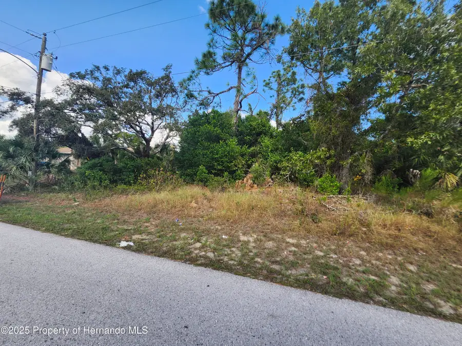 4404 Odin Street, Spring Hill, FL 34608 - Image #3