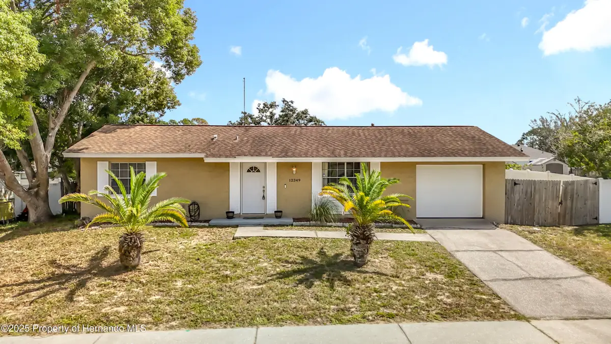 12349 Corrine Avenue, Spring Hill, FL 34609 - Image #1