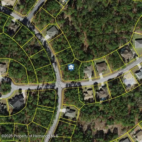 2 Maidenbush Ct E, Homosassa, FL 33446