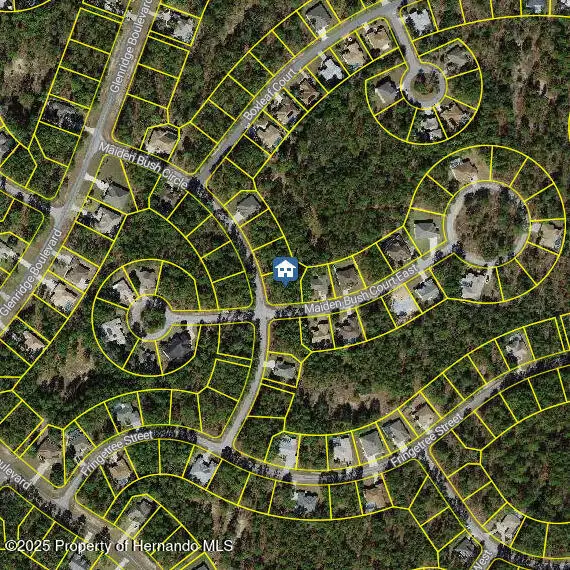 2 Maidenbush Ct E, Sugarmill Woods, FL 33446 - Image #3