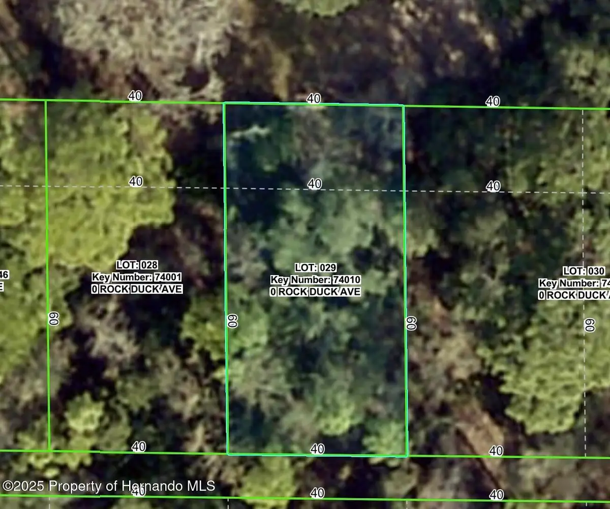 0 Rock Duck (lot 29), Weeki Wachee, FL 34614 - Image #1