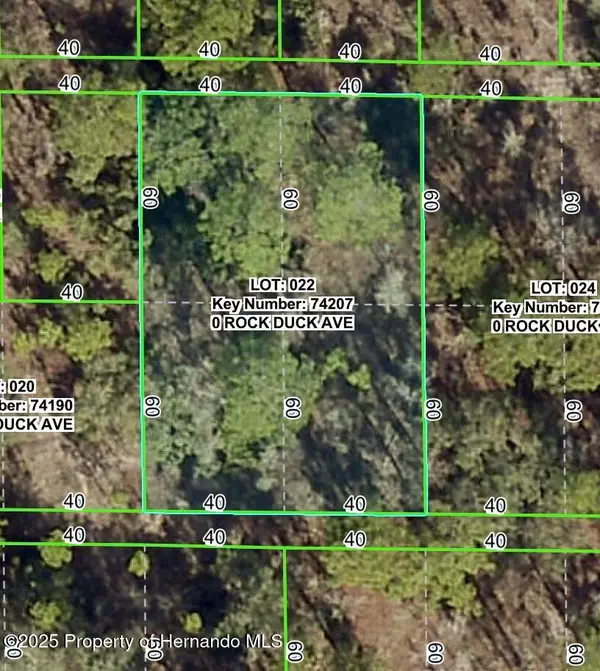 0 Rock Duck, Weeki Wachee, FL 34614