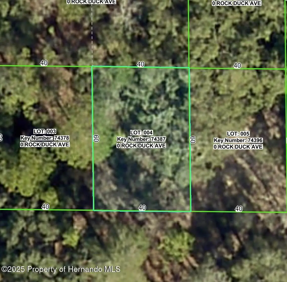 0 Rock Duck, Weeki Wachee, FL 34614 - Image #1