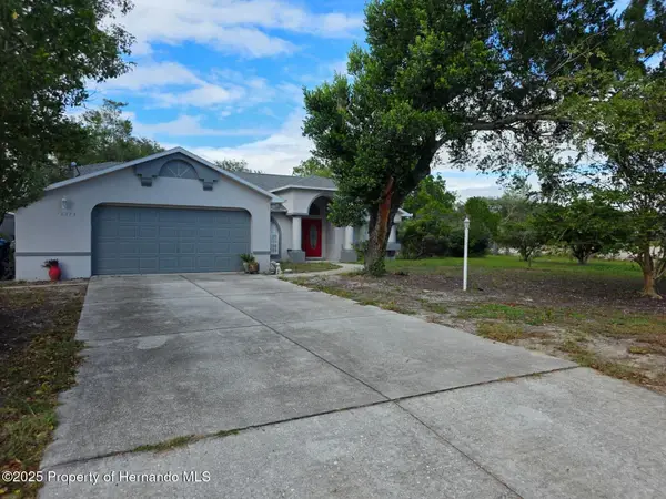 10373 Marvista Court, Weeki Wachee, FL 34614