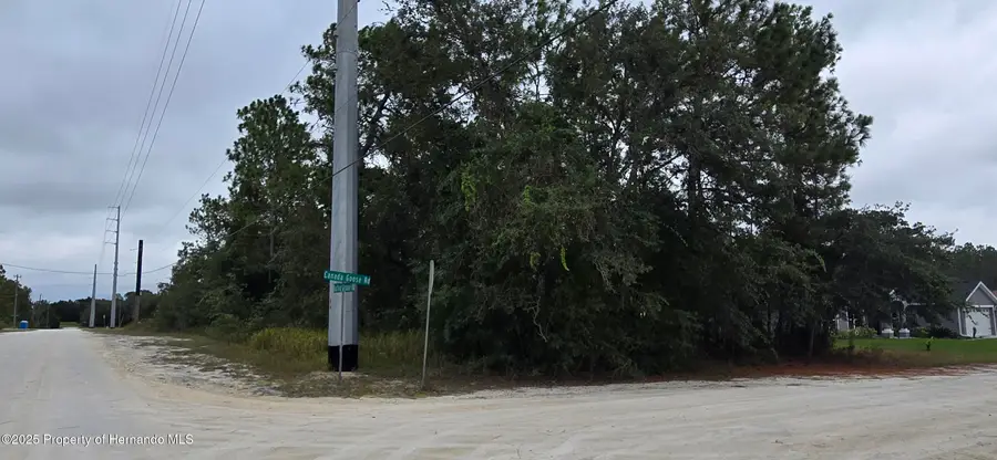 0 Canada Goose Road, Weeki Wachee, FL 34614 - Image #3
