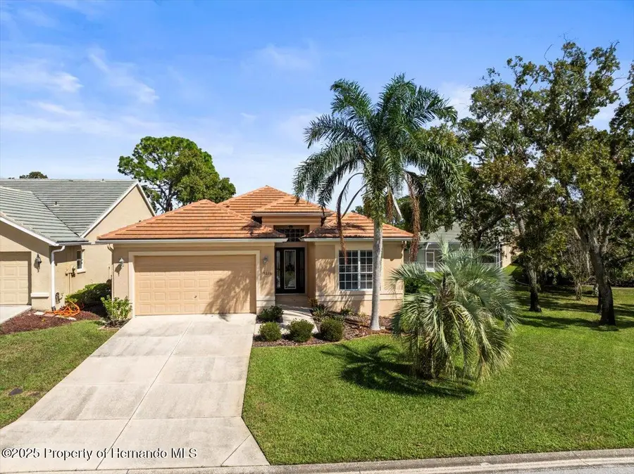 9226 Penelope Drive, Weeki Wachee, FL 34613 - Image #3