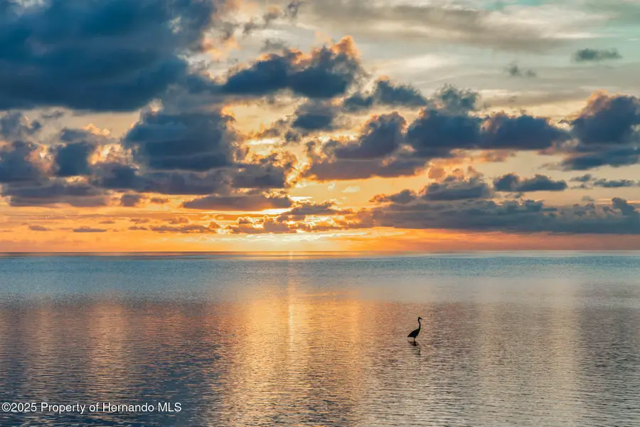 3208 Gulf Winds Circle, Hernando Beach, FL 34607 - Image #3