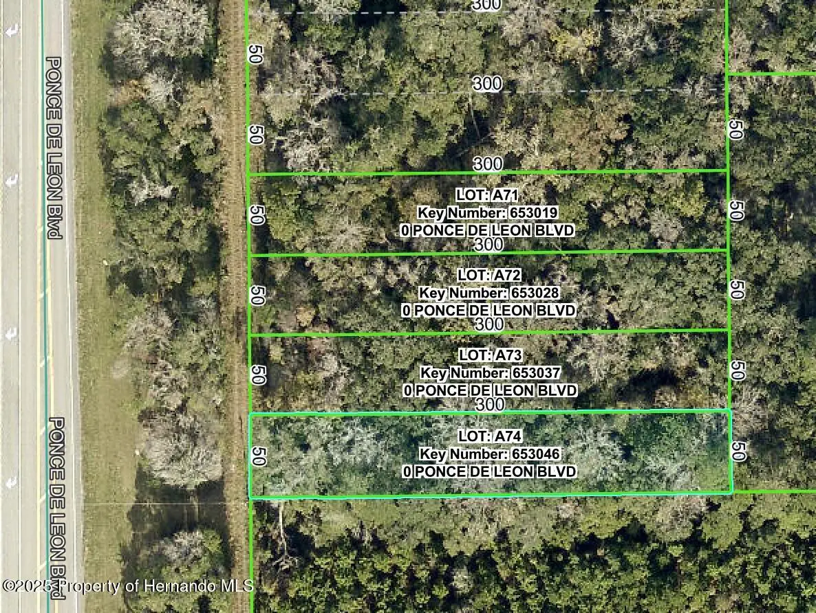 0 Ponce De Leon, Brooksville, FL 34601 - Image #1