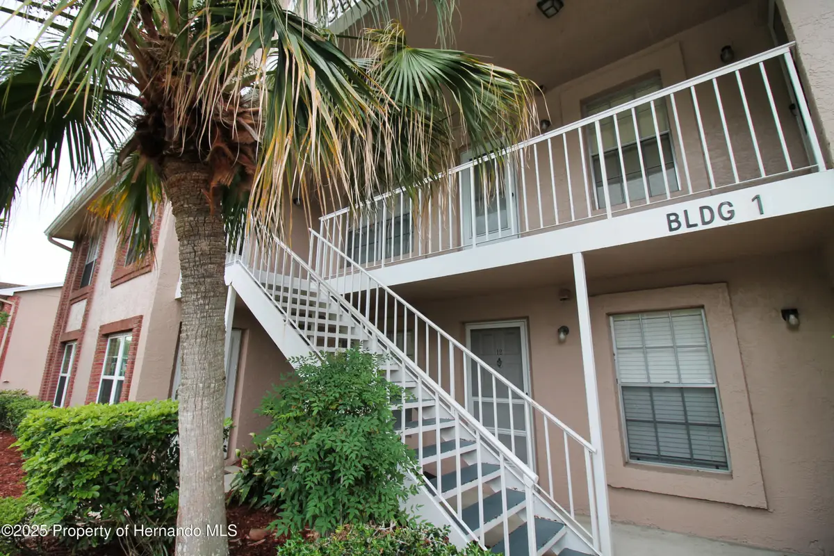 6338 Spring Flower Drive, New Port Richey, FL 34653 - Image #1