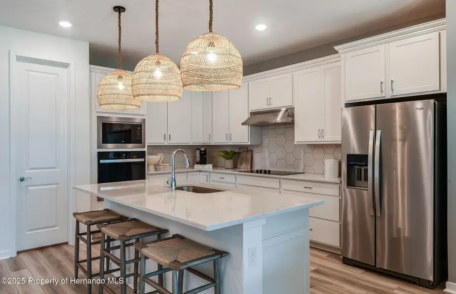 3768 Obsidian Drive, Spring Hill, FL 34609 - Image #2