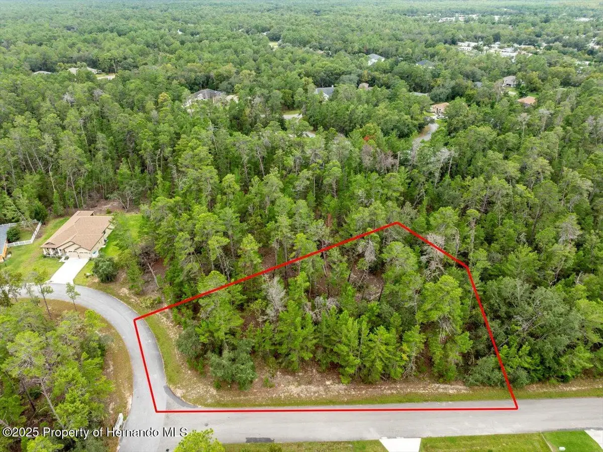 80 Bells Of Ireland Court, Homosassa, FL 34446 - Image #1