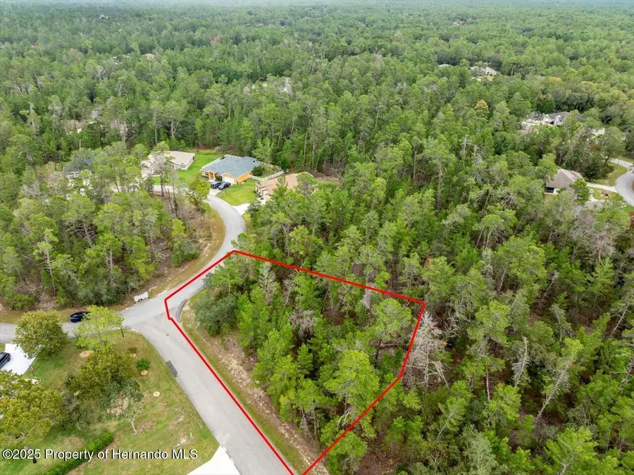 80 Bells Of Ireland Court, Homosassa, FL 34446 - Image #2