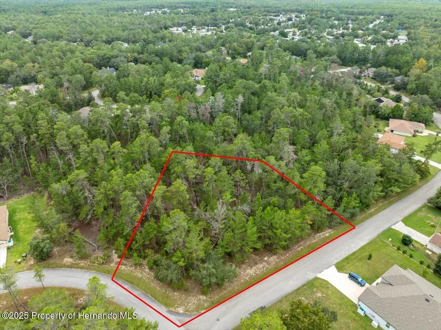 80 Bells Of Ireland Court, Homosassa, FL 34446 - Image #3