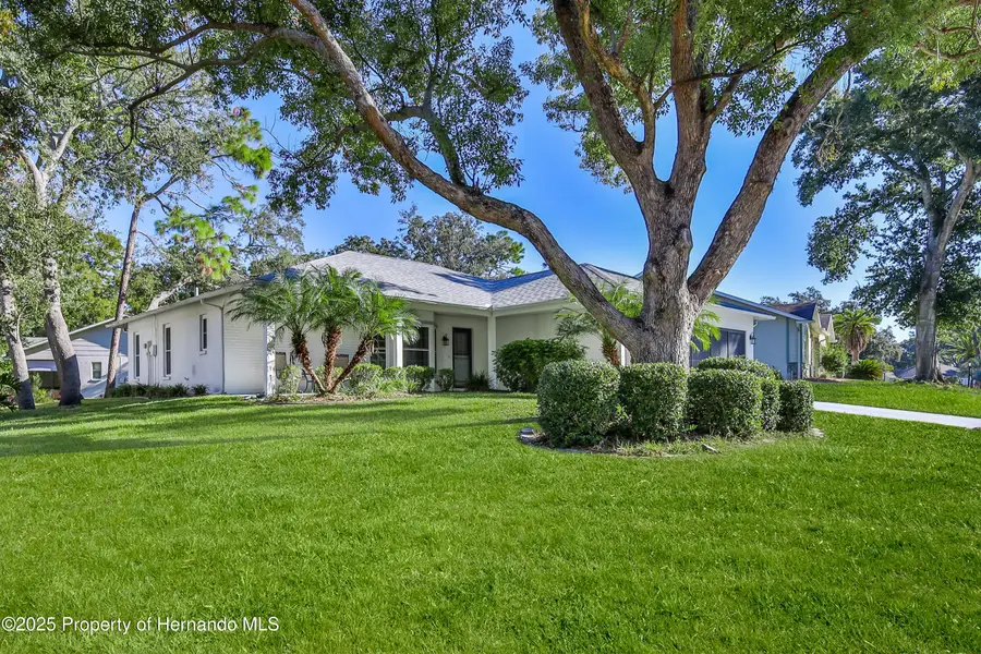 2692 Royal Ridge Drive, Spring Hill, FL 34606 - Image #3