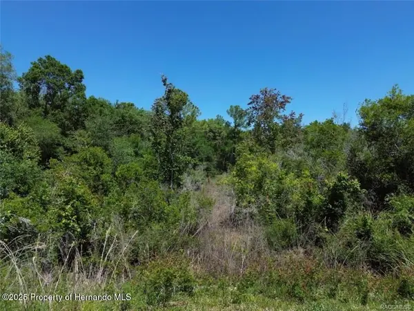 33455 Berryhill Drive, Webster, FL 33597