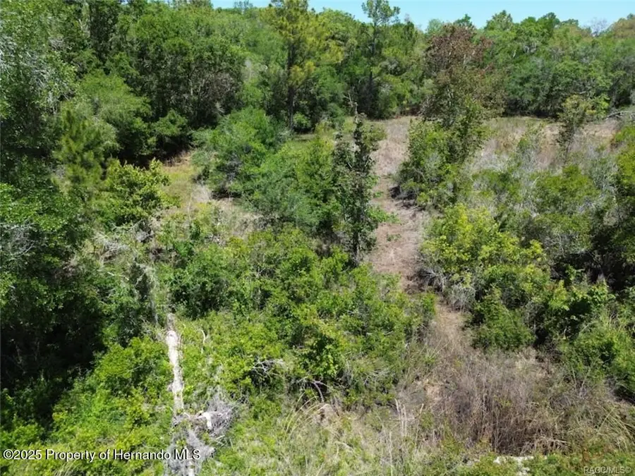 33455 Berryhill Drive, Webster, FL 33597 - Image #2