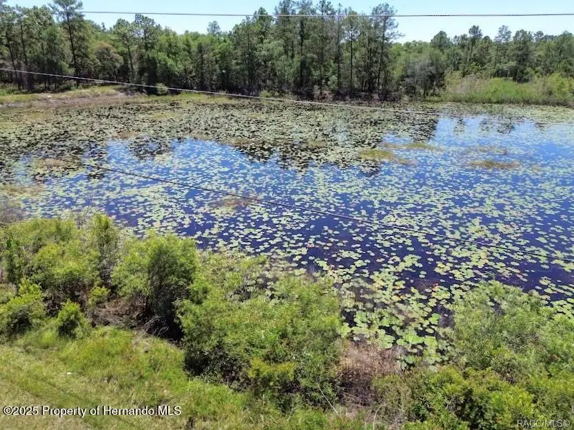 33455 Berryhill Drive, Webster, FL 33597 - Image #3