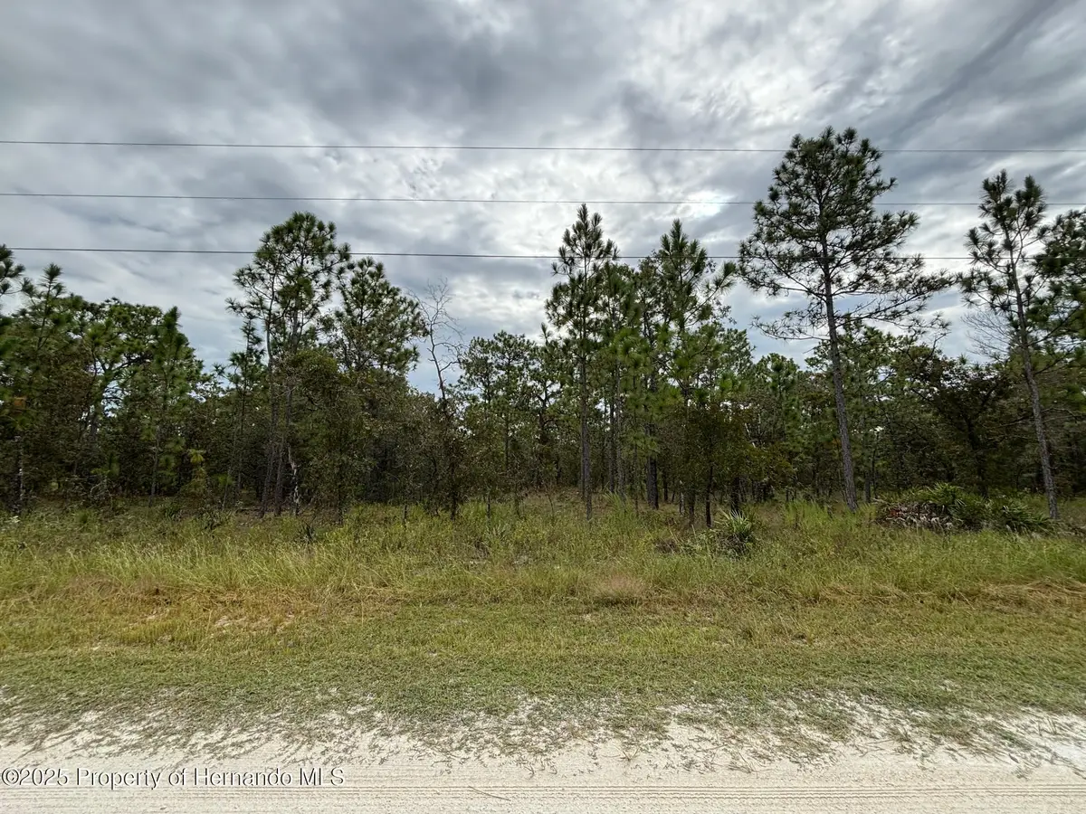 Lot 2 Jenifer Lane, Weeki Wachee, FL 34614 - Image #1