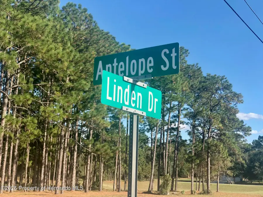 0 Linden Drive, Spring Hill, FL 34609 - Image #2