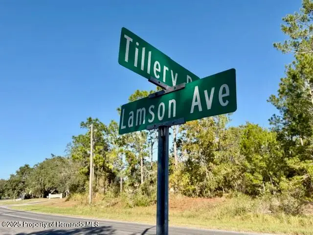 0 Lamson Avenue, Spring Hill, FL 34608 - Image #2