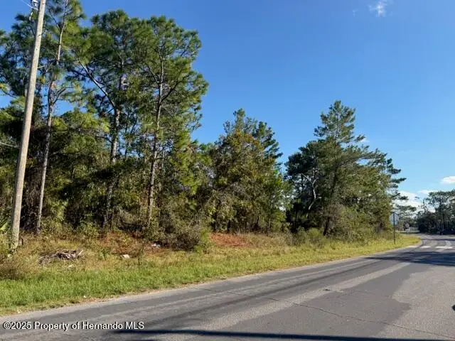 0 Lamson Avenue, Spring Hill, FL 34608 - Image #3