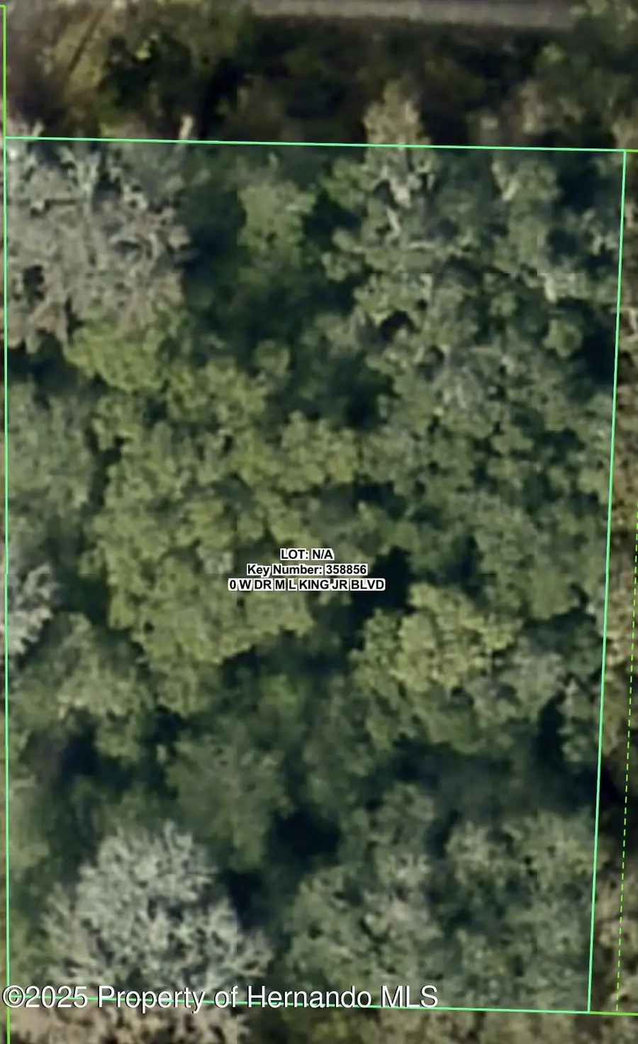 0 W Dr M L King Jr Boulevard, Brooksville, FL 34601 - Image #2